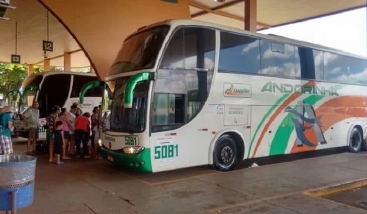 Procon autua empresa de ônibus por impedir reserva de passagens interestaduais gratuitas