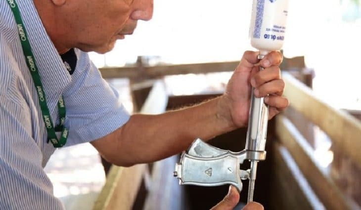 Segunda etapa de vacinação contra febre aftosa termina nesta terça-feira