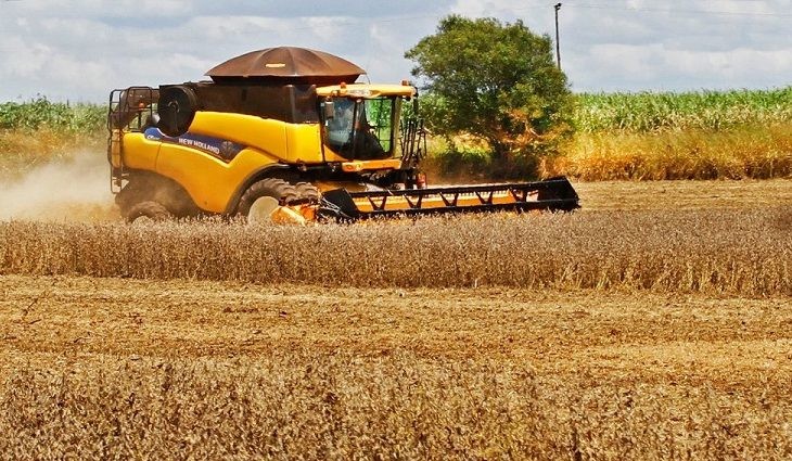 Soja, carne e minério de ferro puxam o aumento nas exportações do MS