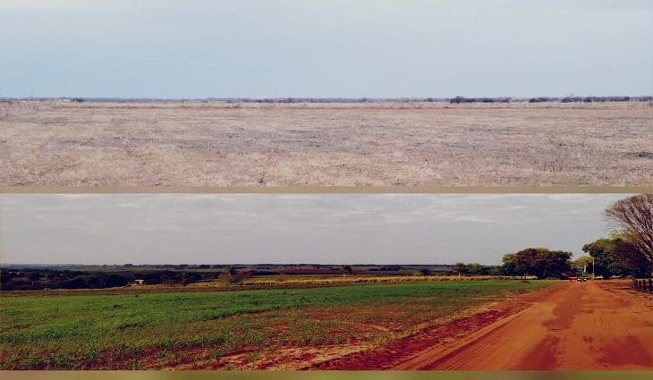 Uems e Departamento de Agricultura dos EUA discutem adubação orgânica e carbono neutro