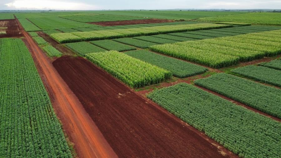 Fazenda Experimental da UFGD sediará o 1º Agro Show Dourados