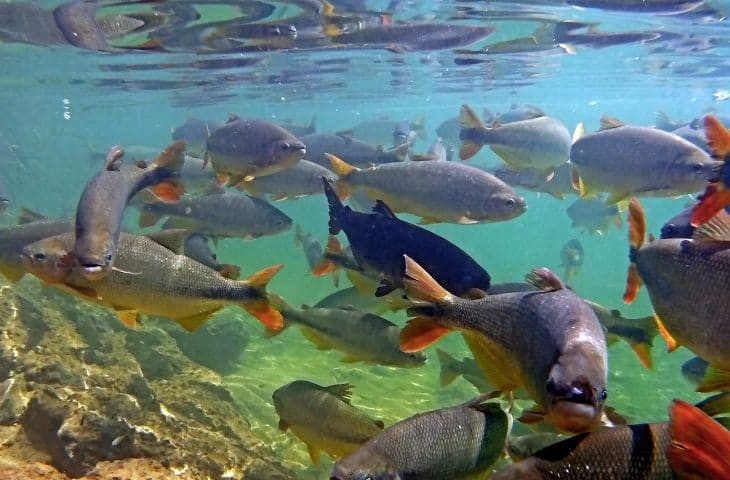 Semagro inicia reuniões técnicas para explicar dinâmica do pagamento por serviços ambientais
