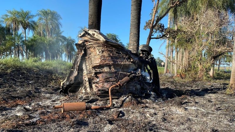 Motorista perde controle, bate em coqueiro e morre carbonizado