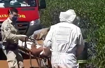 Caminhoneiro é resgatado de ataque de abelhas na BR-163