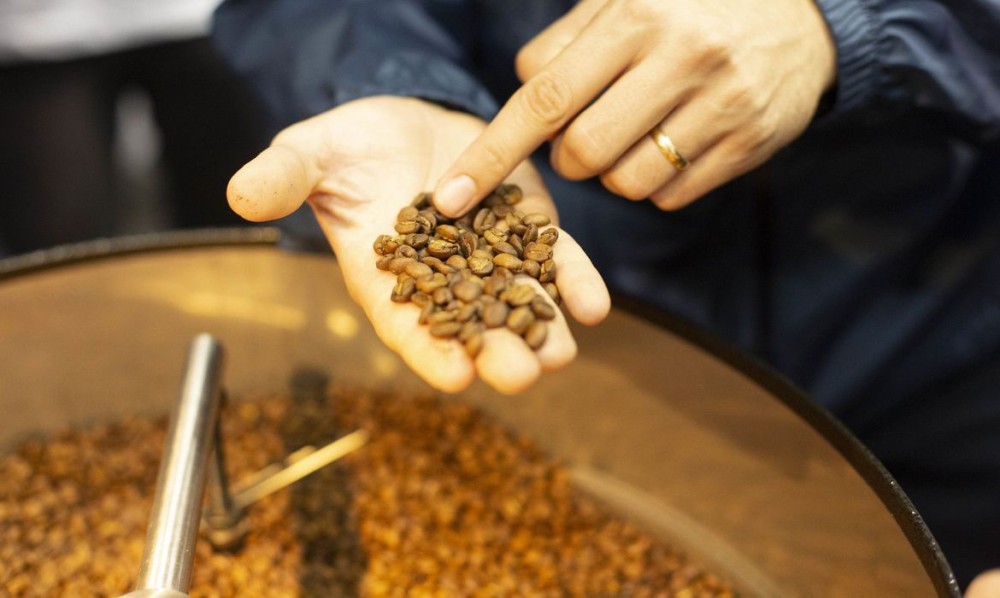 Safra de café deve registrar aumento de 16,8%, diz Conab