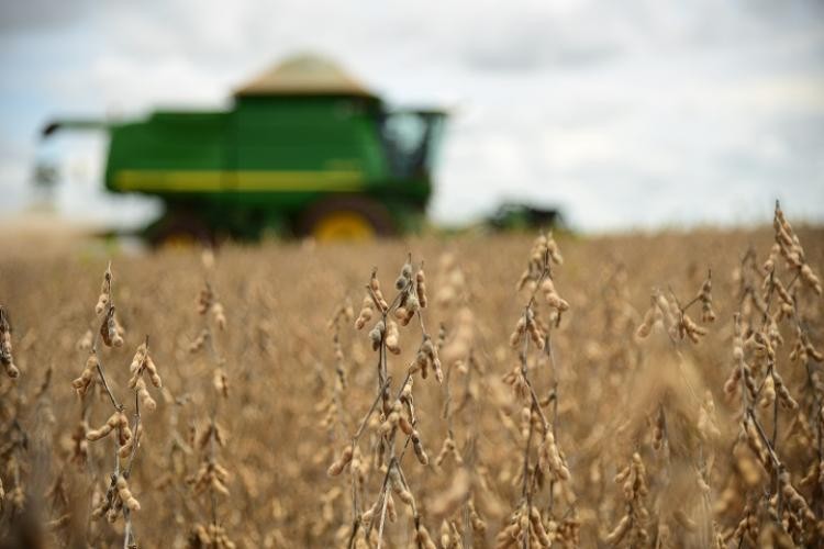 Produtores e seguradoras pedem mais recursos para o seguro rural