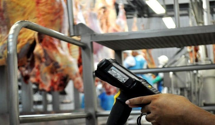Precoce MS: Programa ajuda Mato Grosso do Sul a produzir a melhor carne do Brasil
