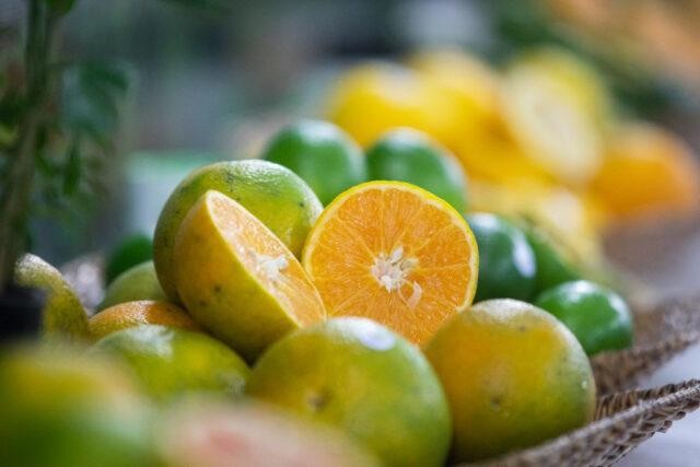 Campo: Levantamento mostra diminuição de doença em laranjas