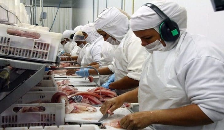 Estado quer elevar em quase 50% a produção de peixes de cultivo