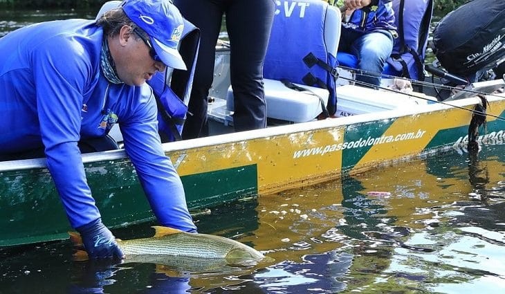 Pesque e solte está liberado somente nas calhas dos rios Paraguai e Paraná