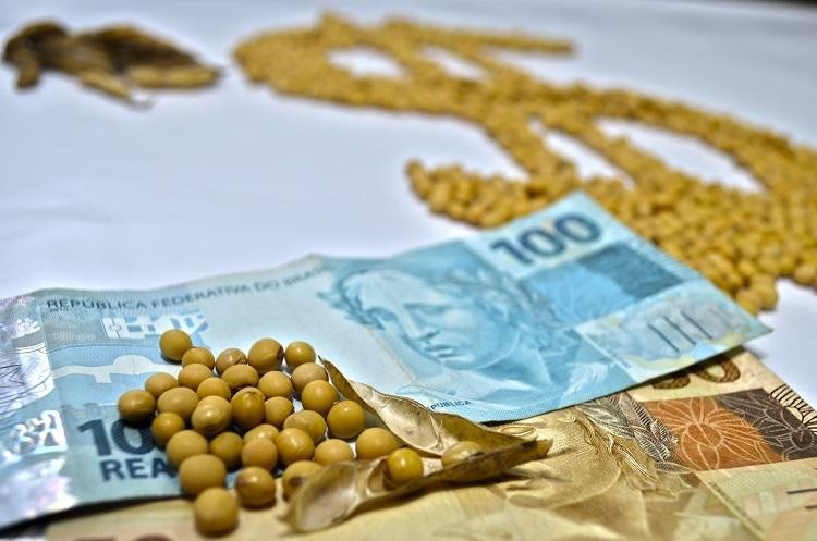 Safra 2021/2022 já recebeu R$ 9,2 bilhões em Mato Grosso do Sul