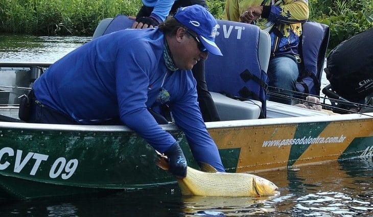 Pesque e solte liberado somente nas calhas dos rios Paraguai e Paraná
