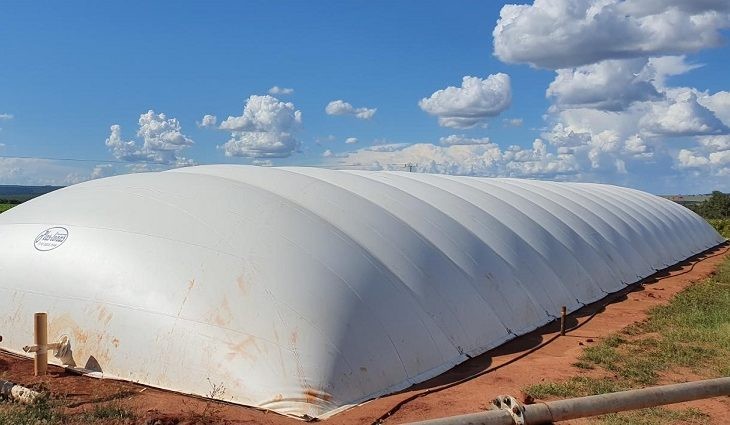 Granjas sustentáveis de MS transformam dejetos de suínos em energia