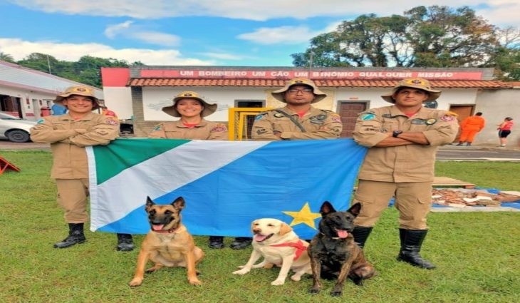 Cães do Corpo de Bombeiros de MS vão ajudar no resgate de vítimas em Petrópolis-RJ