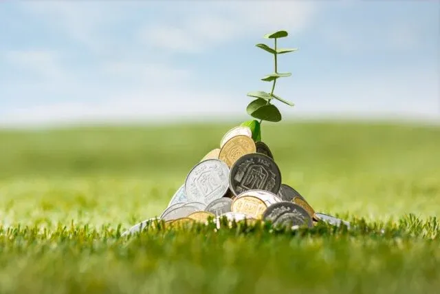 Tesouro abre crédito de R$ 925 milhões para Ministério da Agricultura