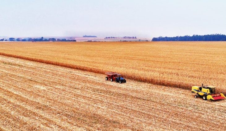 Valor Bruto da Produção Agropecuária de MS apresenta crescimento de 17,85%