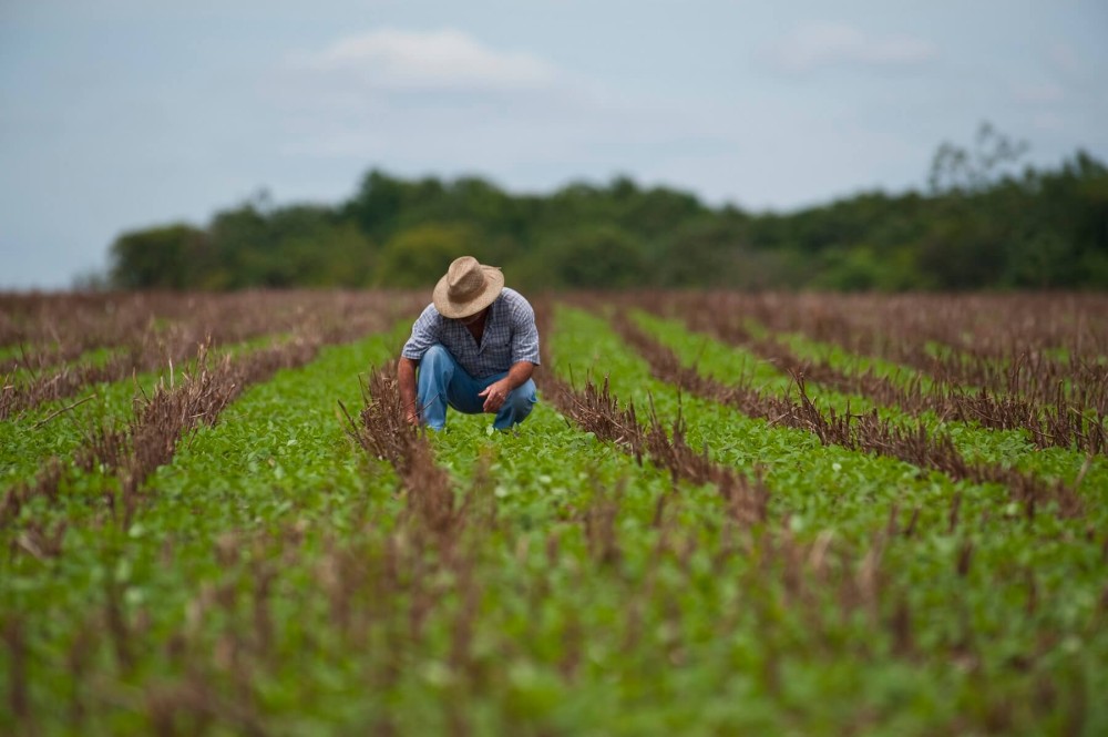 Projeto cria política de proteção econômica e jurídica aos produtores rurais