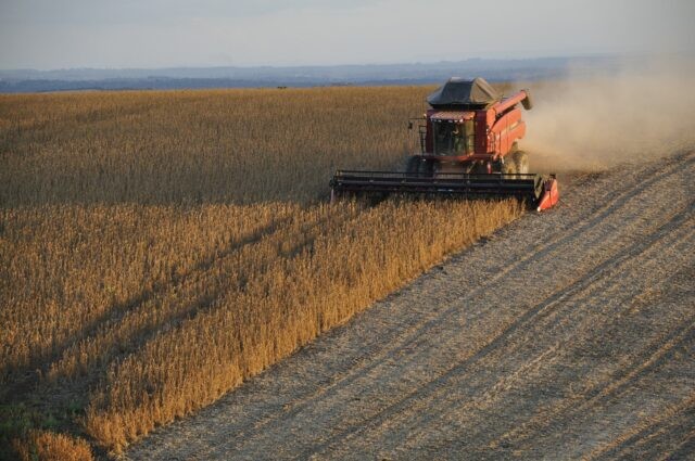 Colheita da soja no Brasil atinge 44% da área, aponta consultoria