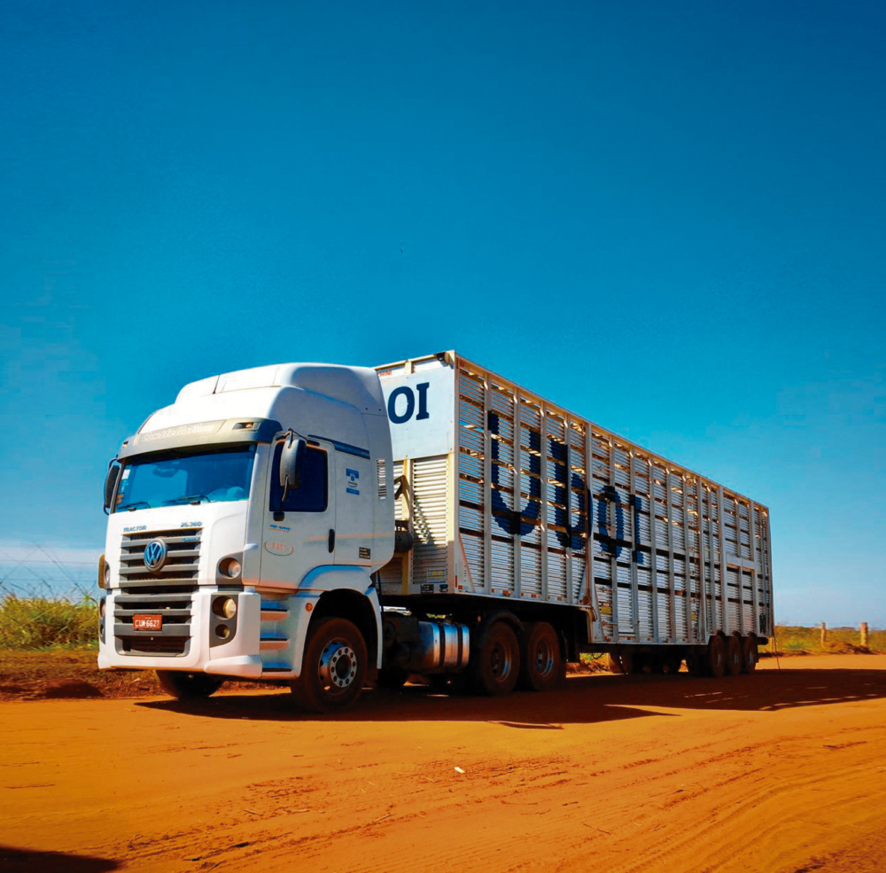 JBS inova e passa a usar aplicativo para transporte de animais