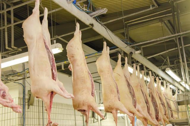 ABPA vê preocupação com exportações de carnes suína e de frango para a Rússia