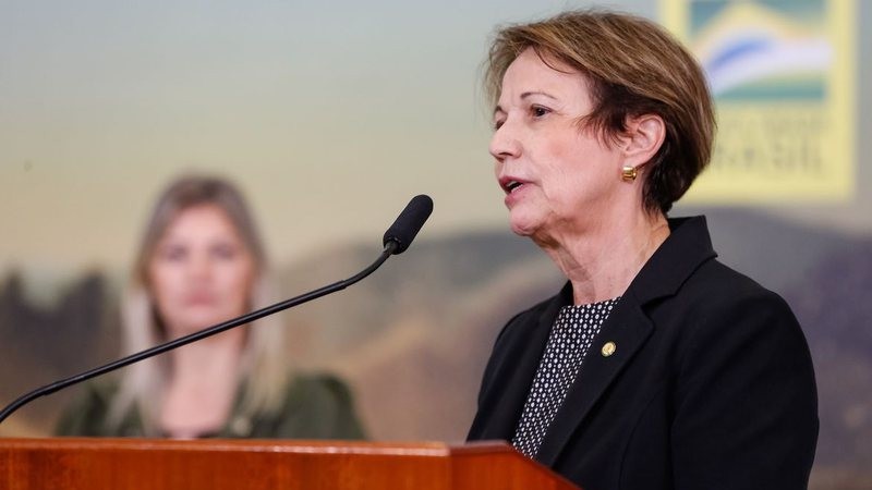 Ministra da Agricultura anuncia criação de programa nacional de fertilizantes