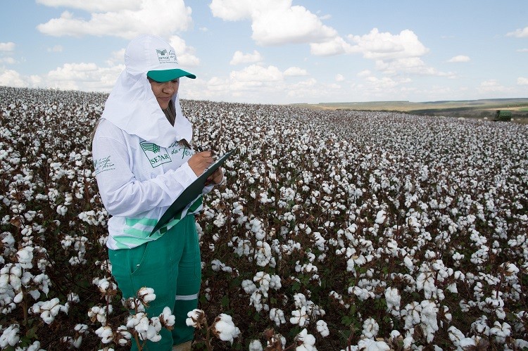 Em 10 anos, número de mulheres em atividades agrícolas cresce 109%