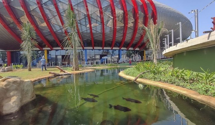 Grupo anuncia desistência e Estado assume gestão do Aquário do Pantanal