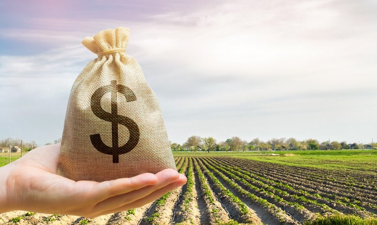 Crédito rural: contratação cresce 30% em oito meses de safra