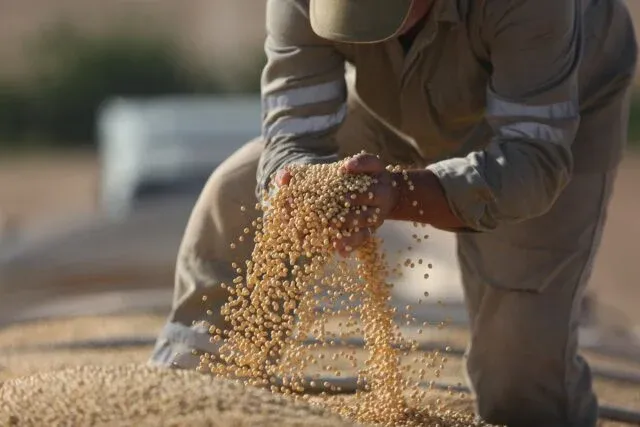 Conab reduz estimativa para produção da safra 21/22