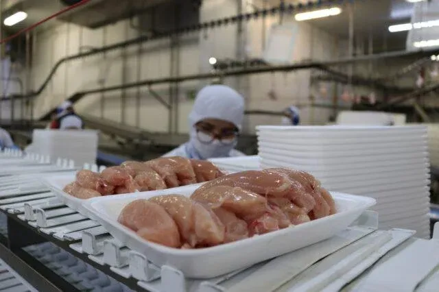 Exportações de frango crescem 13% no primeiro bimestre