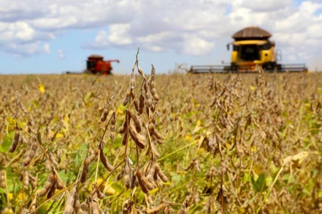 Colheita de soja atinge 64% da área plantada no Brasil, diz consultoria