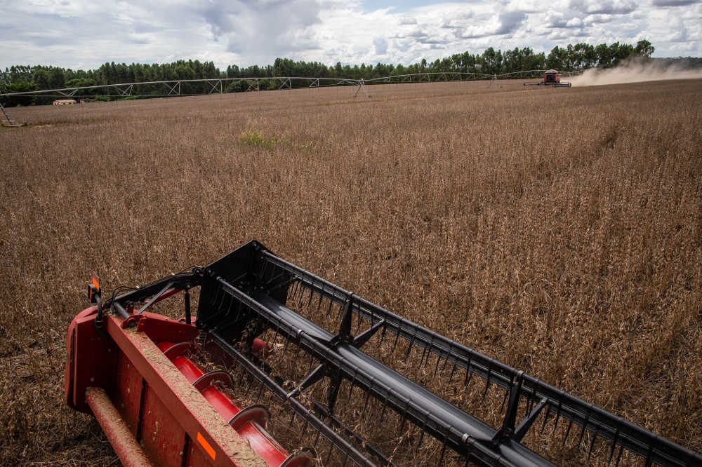 Empresas protelam vendas de fertilizantes e preços explodem