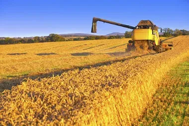 Agronegócio respondeu por 27,4% do PIB brasileiro em 2021, aponta Cepea
