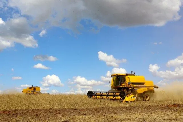 Brasil já colheu 69% da área de soja, diz consultoria
