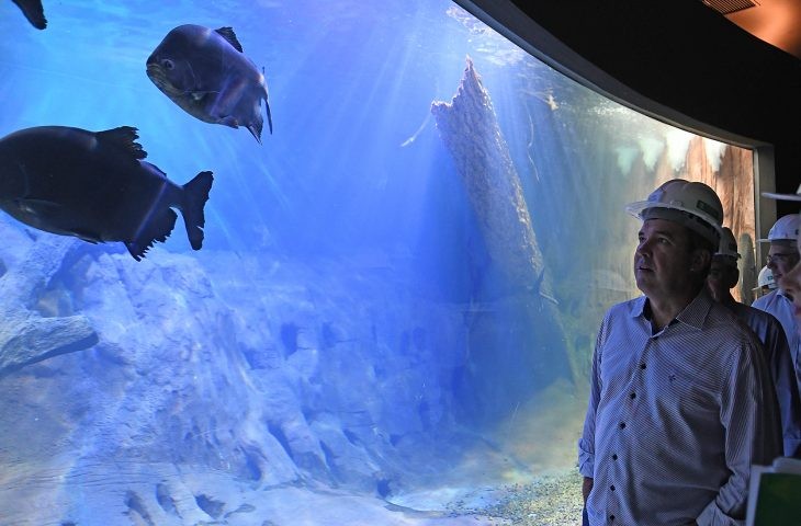 'Bioparque Pantanal' será inaugurado na próxima segunda-feira