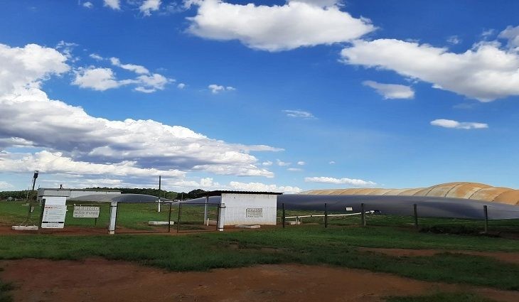 Suinocultura e setor sucroenergético credenciam MS como protagonista em biometano