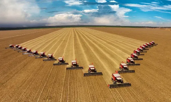 Agronegócio tem saldo positivo de US$ 9,3 bilhões em fevereiro de 2022
