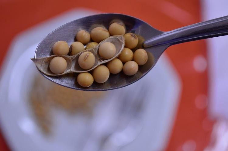 Capacitação gratuita ensina sobre processamento artesanal da soja