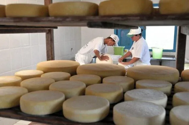 Câmara aprova novas regras para produtos alimentícios artesanais