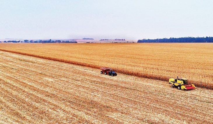 MS já detém 10% das exportações brasileiras de carne e dribla perdas do agro
