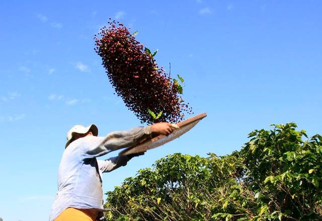 Projeto quer estabelecer regras para controle de jornada do trabalhador rural