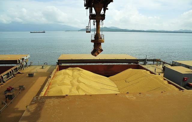Brasil deve embarcar até 11,117 milhões de toneladas de soja em abril