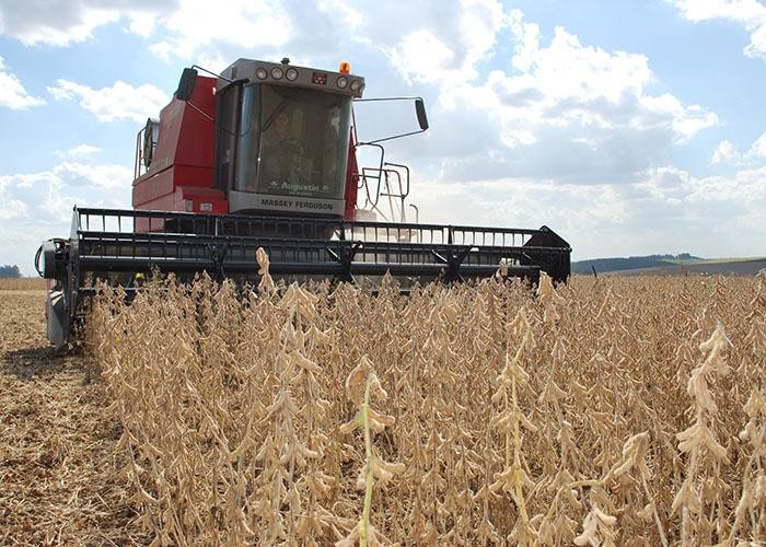 Soja: colheita da safra 2021/22 atinge 85,5%; veja evolução dos estados