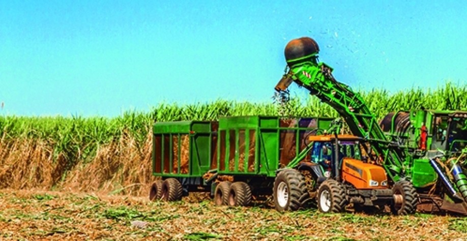 Produção de cana deve crescer no Brasil, mas área plantada será menor em 2022/23
