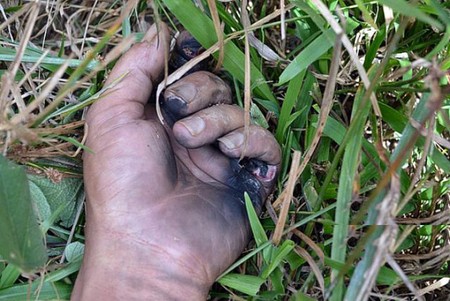Homem morre após receber descarga elétrica na cabeça em cidade de MS
