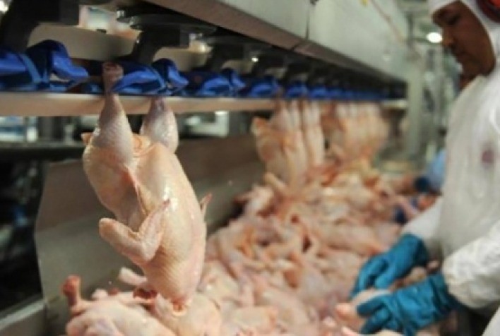 Frango abatido: no 1º quadrimestre, preço ficou aquém da média alcançada em 2021