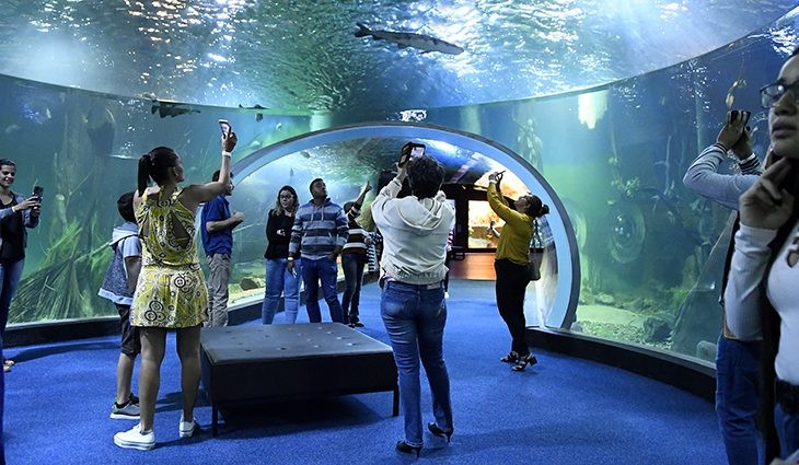 Bioparque já recebeu mais de mil vistantes em 2 dias de abertura