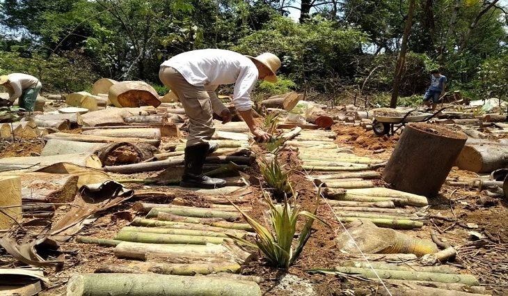 Comunidade vai implantar projeto completo de sustentabilidade em chácara