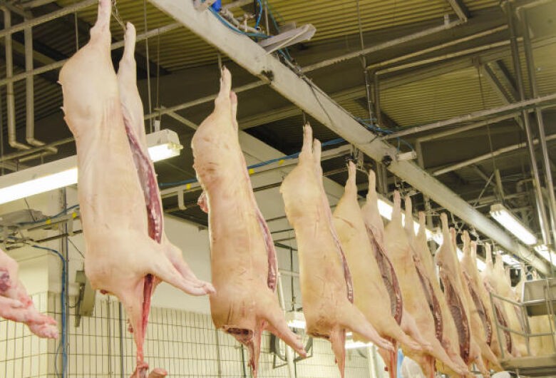 China reduz pela metade compras de proteína suína