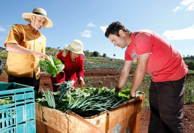 Ministério da Agricultura libera R$ 990 milhões para o seguro rural